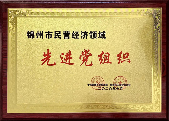 中共錦州市濱海電商行業(yè)協(xié)會/錦州濱海電子商務(wù)產(chǎn)業(yè)基地股份有限公司黨支部榮獲“先進黨組織”稱號